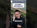 研究癌轉移，要靠易罹癌的牠？