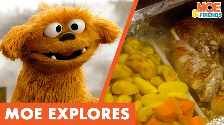 Moe Explores Hāngī | Moe Learns about Traditional Māori Cooking