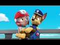 Ryder holds chase  paw patrol