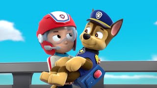 Ryder Holds Chase - Paw Patrol