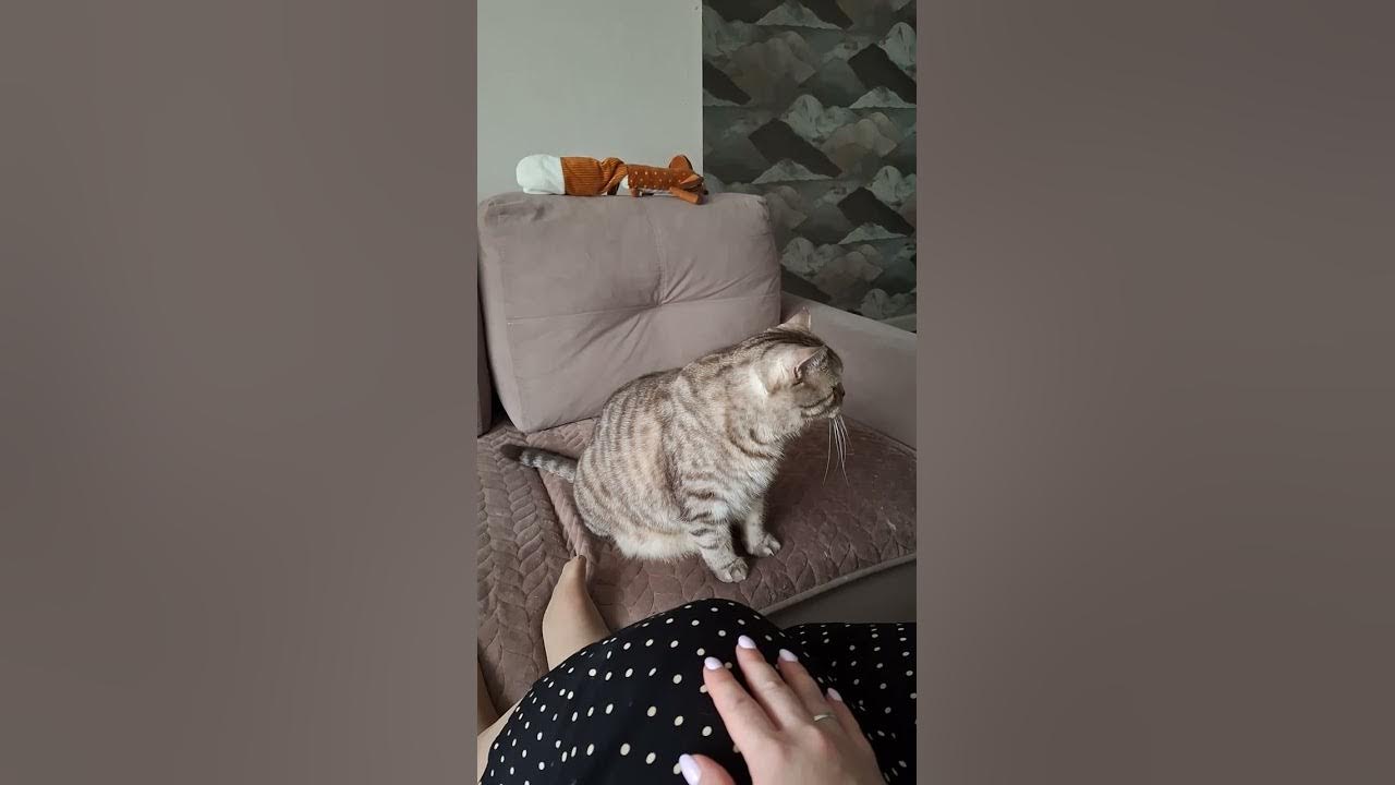 перестал работать playstation 3 перестал работать playstation 3