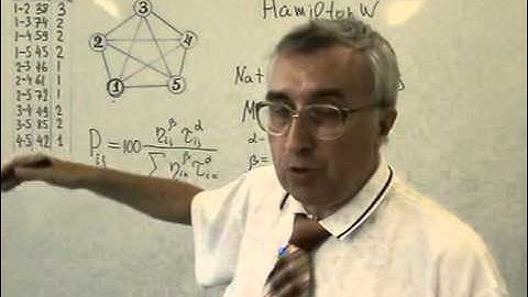 Муравьиный алгоритм