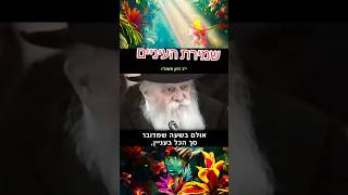 הרבי מליובאוויטש-שמירת העיניים