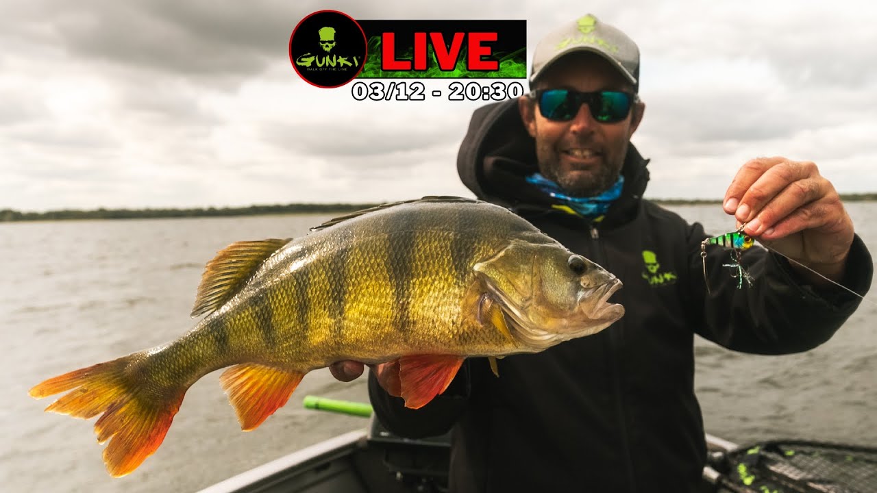 Manyfik Leurres cuillères Mobby S Salmon - Cuillères tournantes