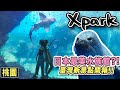 北部最大水族館！臺灣最新景點550元值得嗎？？｜ Xpark水族館｜桃園景點