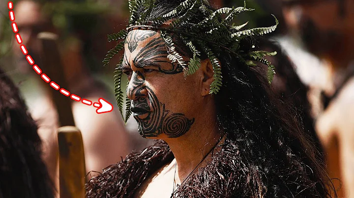 Why 80% of New Zealand’s Land Remains Uninhabited?