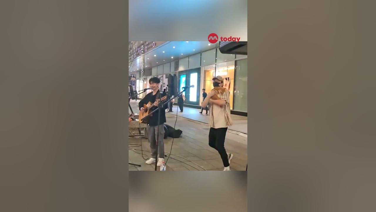 Cat in Taiwan busks with owner, wins over the internet with meows