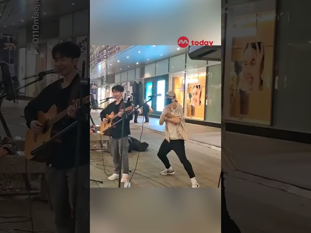 Cat in Taiwan busks with owner, wins over the internet with meows class=