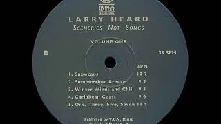 Larry Heard - One, Three, Five, Seven