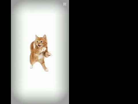 Wow Memes Helpmemakethismakesense Beats Funny Butifyoucloseyoureyes Vent