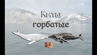 Русская Рыбалка 3 (Russian Fishing). Ловим китов