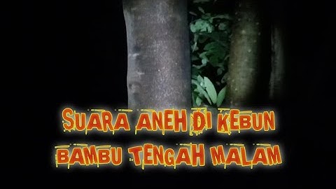 SUARA ANEH TENGAH MALAM DI KEBUN BAMBU
