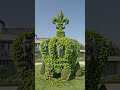 Satisfying Crown Transformation 😍 Watch Till The End! #home #topiary #viral #satisfying #ytshorts