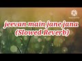 Jeevan main Jane Jana Slow reverb Song old Hindi song #slowed #slowedandreverb #viral #song