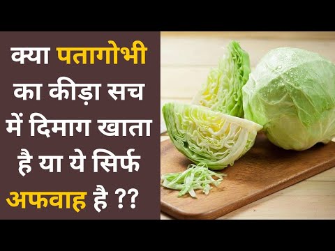 वीडियो: क्या कीड़ा खाना खतरनाक है?