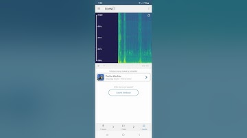 How to Use the  BirdNET App | Tutorial