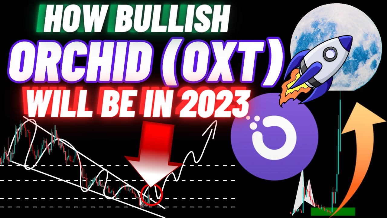 oxt crypto coin