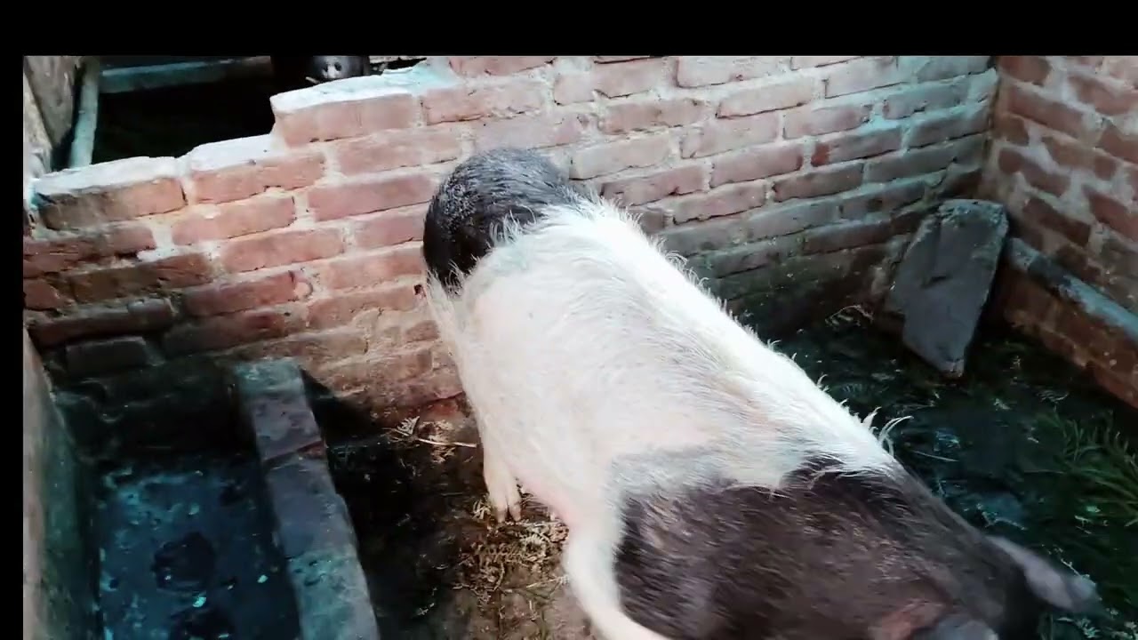 छोटो आउँदीमा पैसा कमाउने तरिका