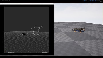 Motionbuilder Quadruped Retargeting