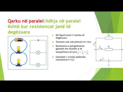 Video: Karakteristikat E Peshkimit Në Qarqe - Ndjekja E Grabitqarit