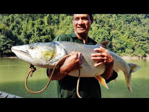 Video BẮT CÁ SÔNG ĐÀ | Cắm Trại Sông Đà - Tập 1 - youtube
