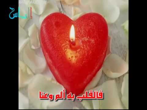 نشيد أبو عبدالملك للدنيا أن تحيا البشرا
