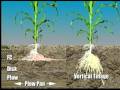 Great Plains: Vertical Tillage Principles