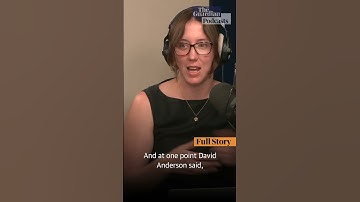 Antoinette Lattouf v the ABC  #news #politics #podcast