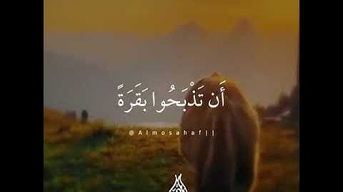 أجمل و أروع تلاوة للقران الكريم