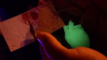 Performance Semillas de Emociones  - Colectivo 23kg - Bienal de la Habana 2024-2025