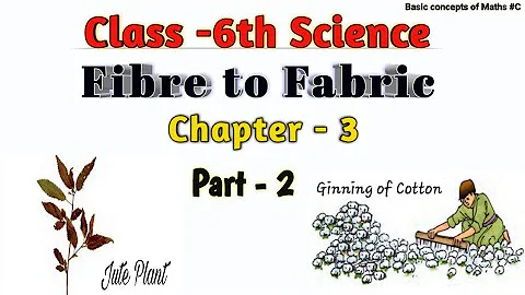 Fibre to Fabric | Chapter - 3 | Class -6th Science | NCERT | Part - 2 | Plant Fibres