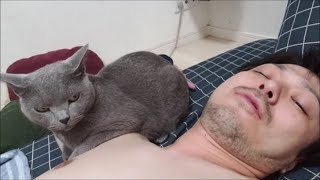 飼い主のワキの下を踏み潰す灰色猫