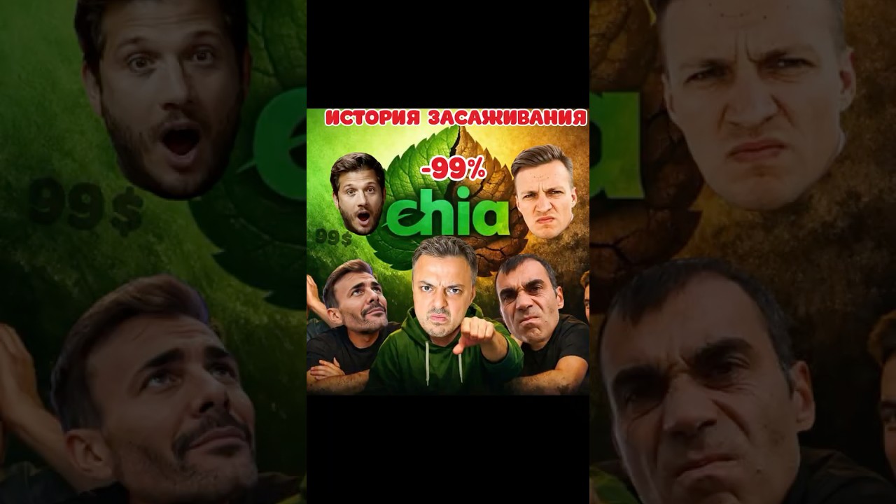 ❗️ВОТ КАК ЗАСАЖИВАЛИ В CHIA: Рафаэль, Pifagor, Разумный, Crypto Family 