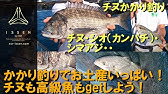 黒潮町 鈴釣り筏シマアジチャレンジ Youtube
