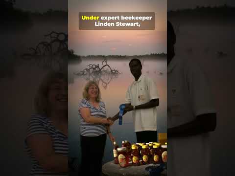 Mangrove Gold: The Coastal Honey of Guyana