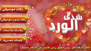 فرحة عمري بدون موسيقى مي سليم  زفة شذى الورد 
