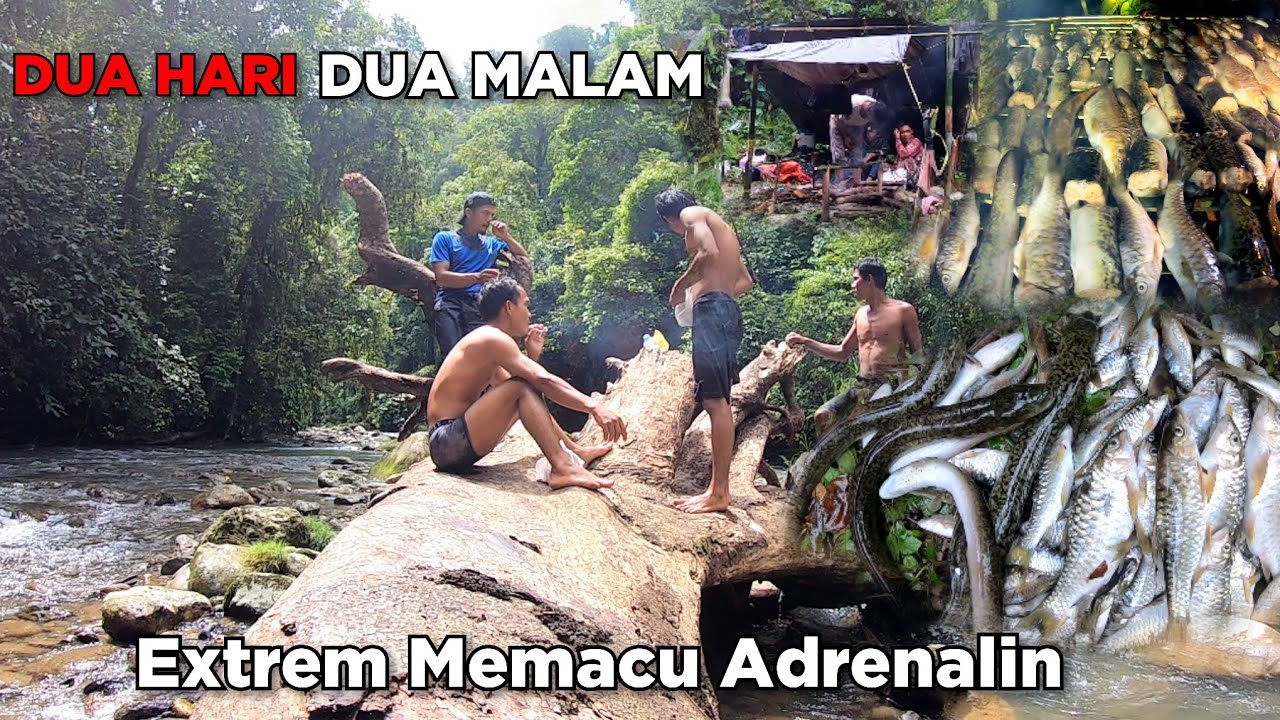 48 Jam Dalam Rimba Jelajah Hulu Sungai Extrem Mencari Ikan Diguyur Hujan Deras