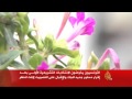 إقبال كبير على التصويت بانتخابات