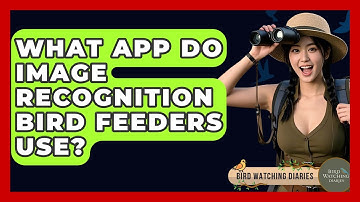 What App Do Image Recognition Bird Feeders Use? - Bird Watching Diaries