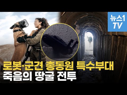 좁은 <strong>땅굴</strong> 속 백발백중...하마스 게릴라전  숨을 곳 없다