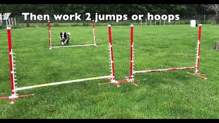 Consistent & Independent Obstacle Discrimination Course with Lisa Schmit - Online Course