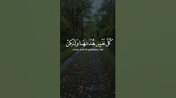 سورة السجدة | الآية ١٣ تلاوة عبد الرحمن مسعد