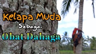 cinematic 30 detik|kelapa muda adalah obat|can fell you-nico anuch (no copyright music)