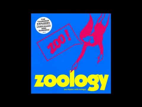 The Teardrop Explodes — The Teardrop Explodes | Screaming Secrets