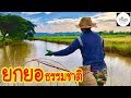 ยกยอ Nature ►Fishing lifestyle Ep.159