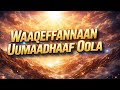 Faarfannaa Haaraa 2013 2020 Fiqiree Dassaalanyi