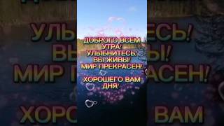 ДОБРОГО, ВСЕМ, УТРА! ХОРОШЕГО ДНЯ. ПРИРОДА ВАМ ДЛЯ ДУШИ! #хорошеенастроение #recommended #природа