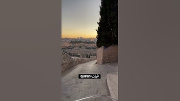 الم يأتكم نبأ الذين كفروا سوره التغابن