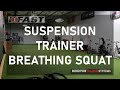 Suspension Trainer ISO Squat