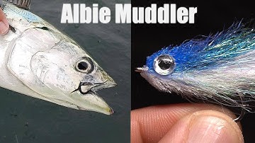 Tying The Albie Muddler & Hitting The Rocks For Albies. Roll Your Own Fly #2
